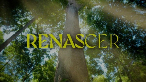 Renascer